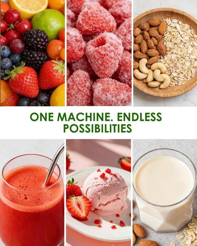 Premium Whole Fruit Juicer Upgrade